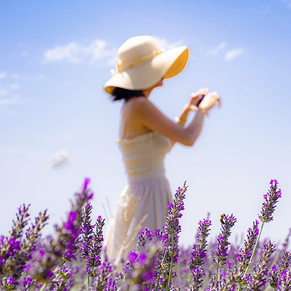 Le plateau Val en sol